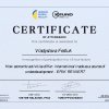 certificate_how_economic_activities_differ_international_trade_as