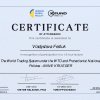 certificate_the_world_trading_system_under_the_wto_and_protectionist